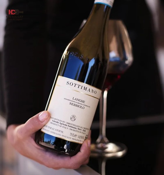 Nebbiolo là giống nho đặc trưng của vùng Piedmont, Ý.