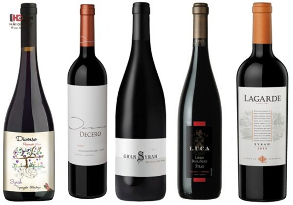 Hướng dẫn lựa chọn rượu vang Syrah Shiraz