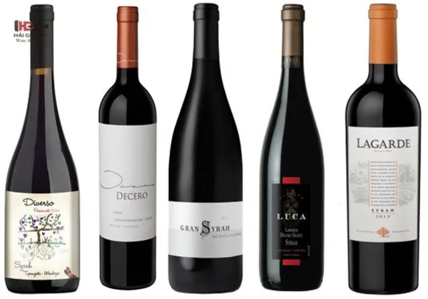 Hướng dẫn lựa chọn rượu vang Syrah Shiraz