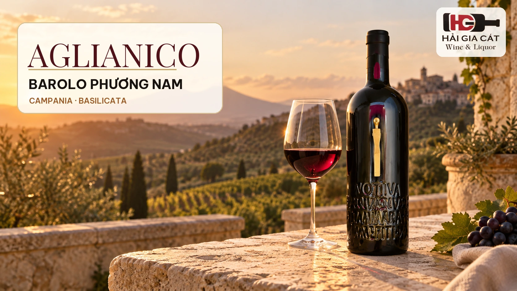 01 aglianico barolo phuong nam