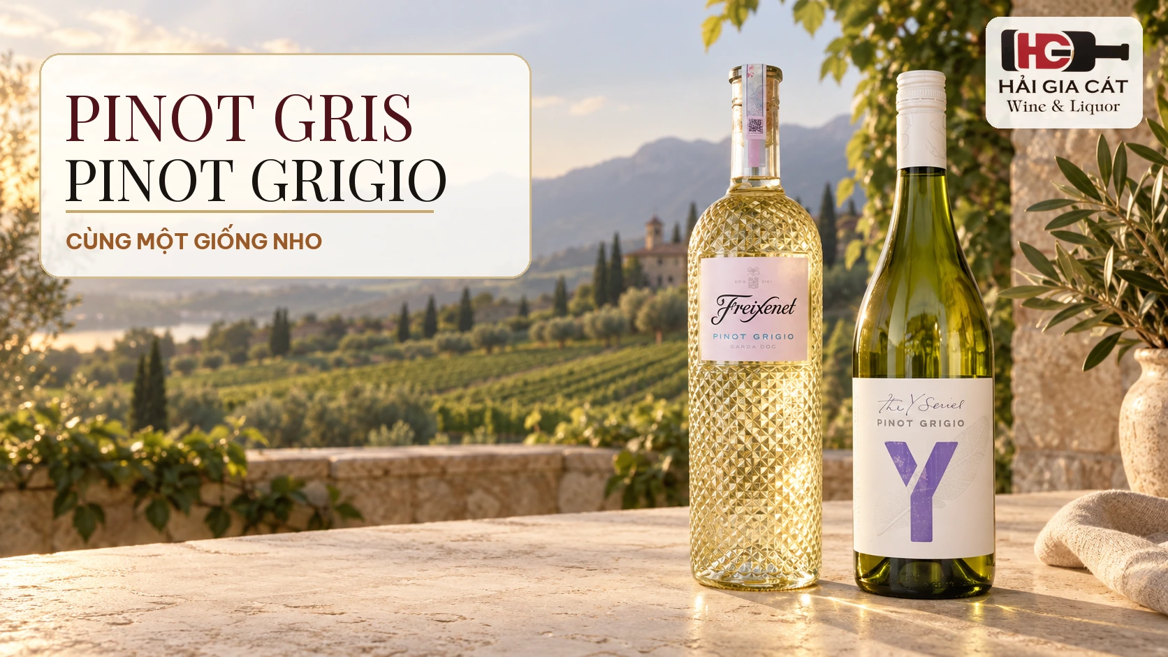 01 pinot gris pinot grigio hero