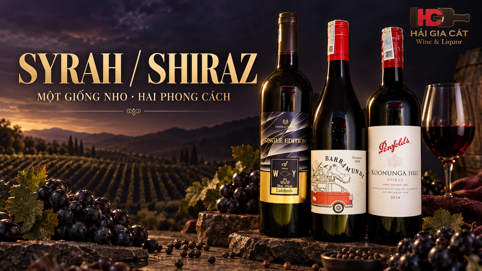 01 syrah shiraz hero