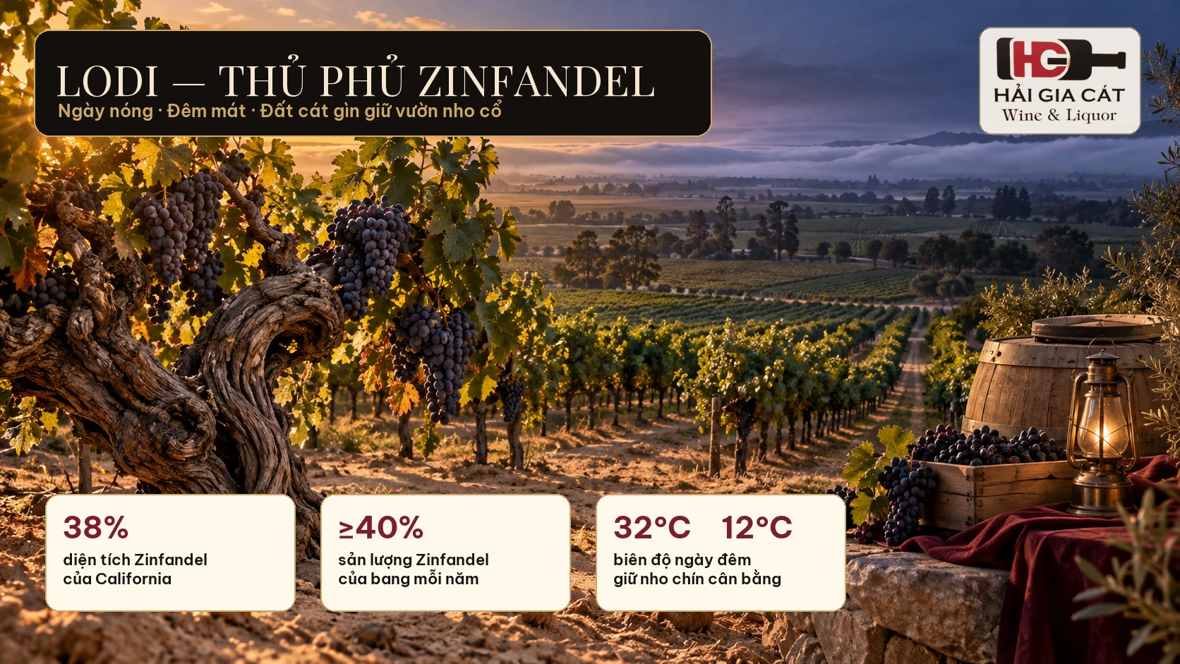 02 lodi thu phu zinfandel