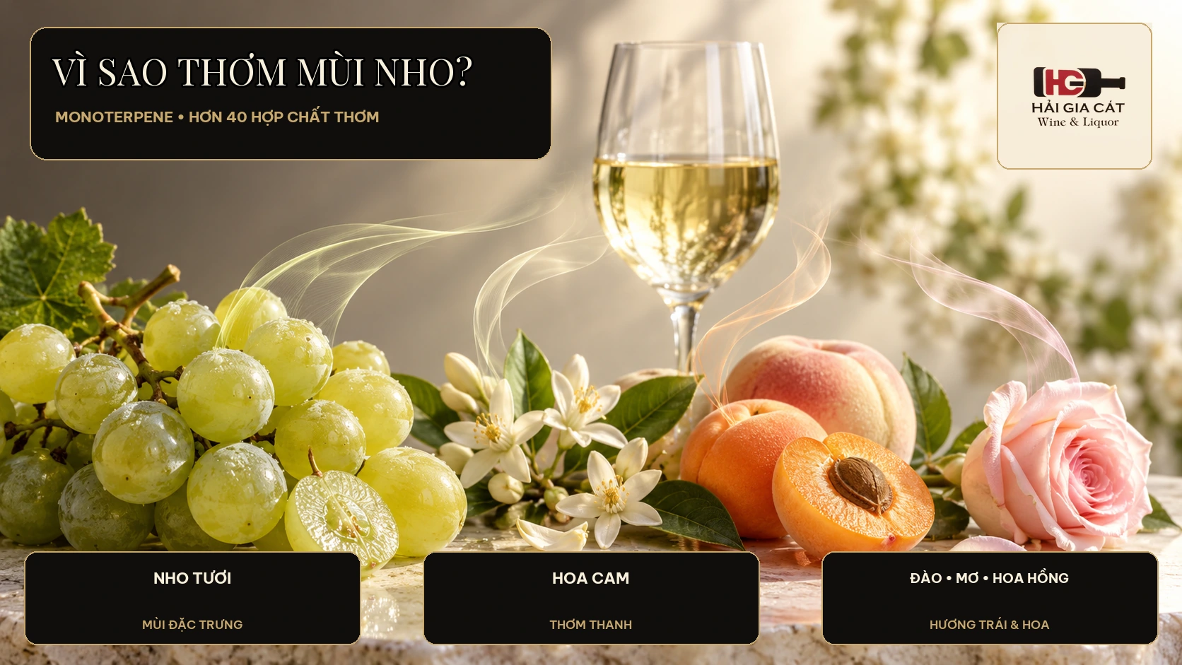 02 moscato monoterpene huong nho