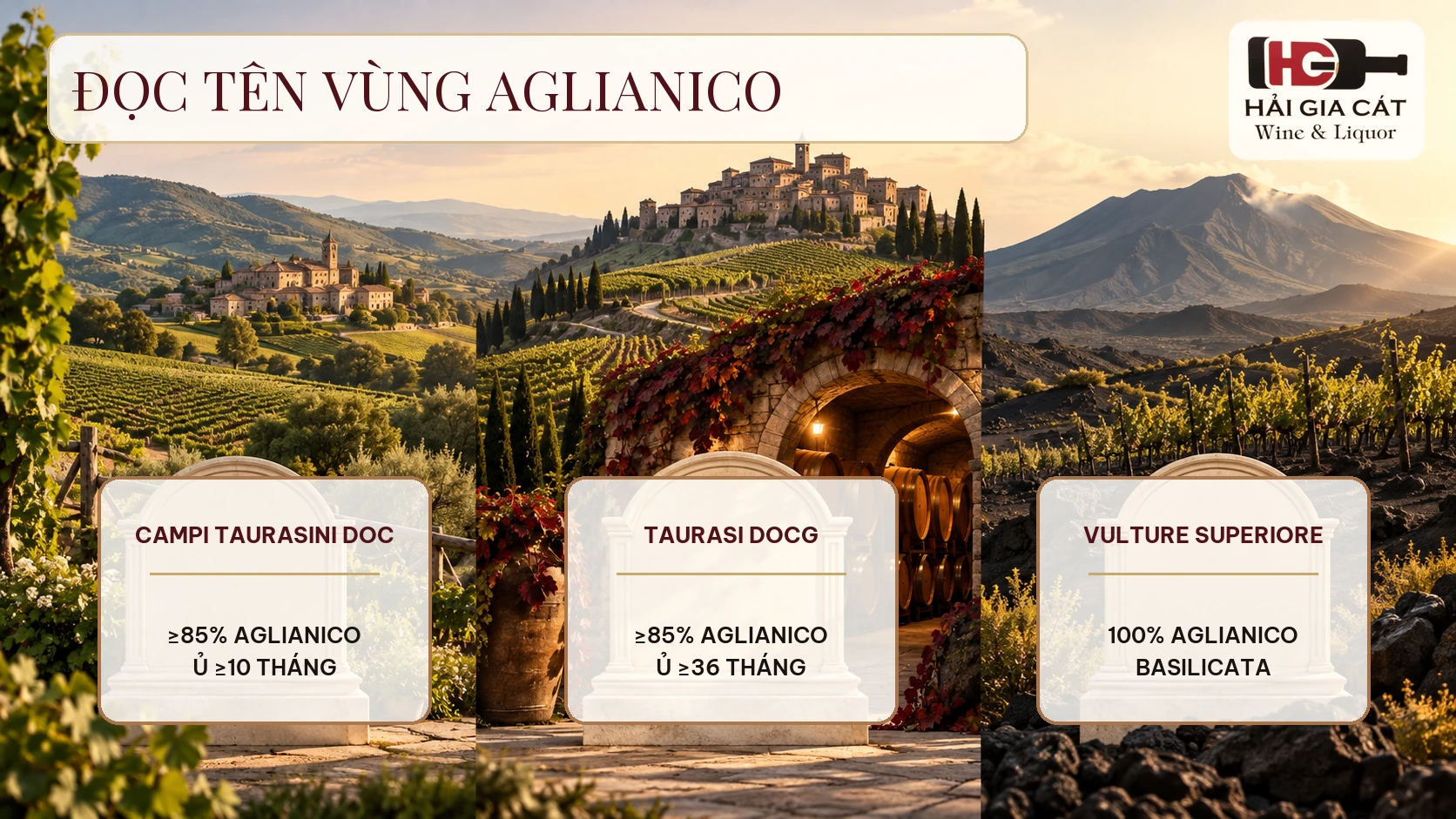 03 doc ten vung aglianico