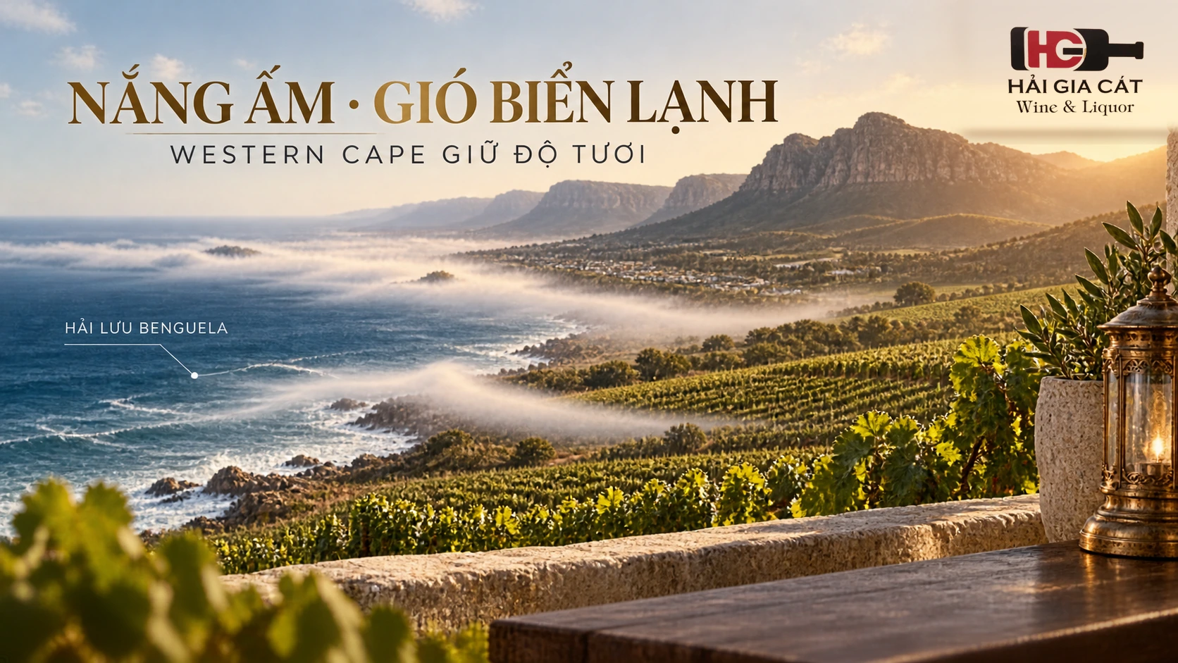03 western cape hai luu benguela v2 1